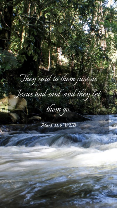 Picture 03 - Mark 11:6 WEB Mobile Phone Wallpaper - They said to them just as Jesus had said, and - Mobile Bible Verse Wallpaper