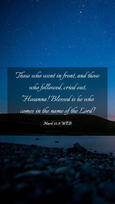 Picture 03 - Mark 11:9 WEB Mobile Phone Wallpaper - Those who went in front, and those who followed, - Mobile Bible Verse Wallpaper