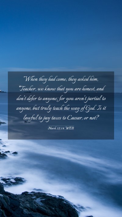 Picture 03 - Mark 12:14 WEB Mobile Phone Wallpaper - When they had come, they asked him, 
