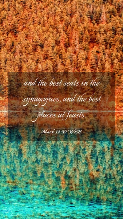 Picture 03 - Mark 12:39 WEB Mobile Phone Wallpaper - and the best seats in the synagogues, and the - Mobile Bible Verse Wallpaper