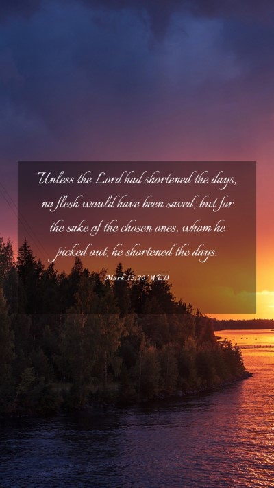 Picture 03 - Mark 13:20 WEB Mobile Phone Wallpaper - Unless the Lord had shortened the days, no flesh - Mobile Bible Verse Wallpaper