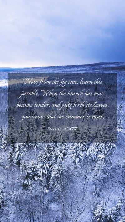 Picture 03 - Mark 13:28 WEB Mobile Phone Wallpaper - 