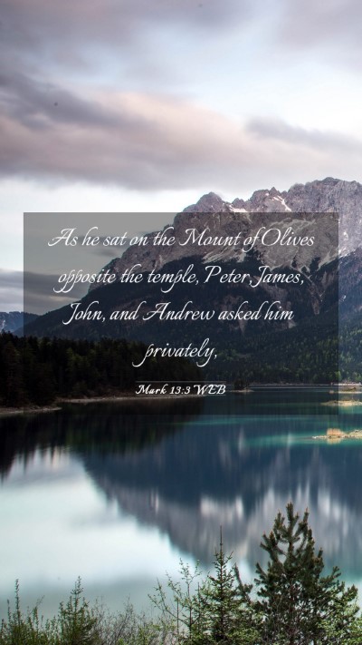 Picture 03 - Mark 13:3 WEB Mobile Phone Wallpaper - As he sat on the Mount of Olives opposite the - Mobile Bible Verse Wallpaper