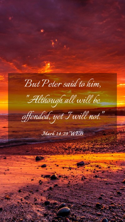 Picture 03 - Mark 14:29 WEB Mobile Phone Wallpaper - But Peter said to him, 