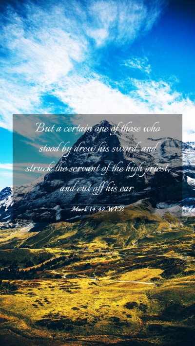 Picture 03 - Mark 14:47 WEB Mobile Phone Wallpaper - But a certain one of those who stood by drew his - Mobile Bible Verse Wallpaper