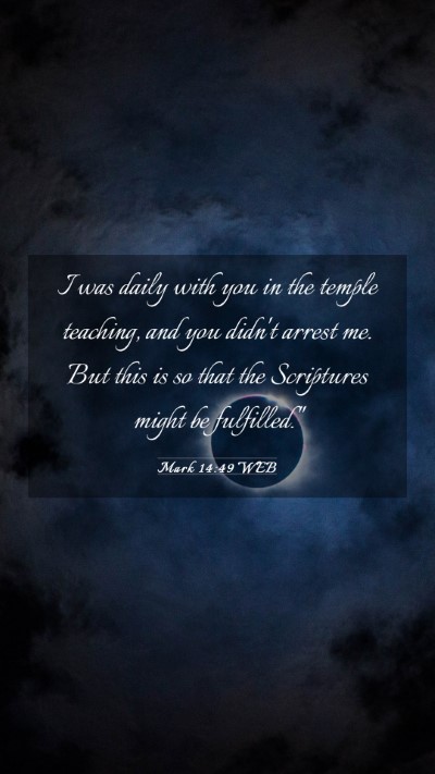 Picture 03 - Mark 14:49 WEB Mobile Phone Wallpaper - I was daily with you in the temple teaching, and - Mobile Bible Verse Wallpaper