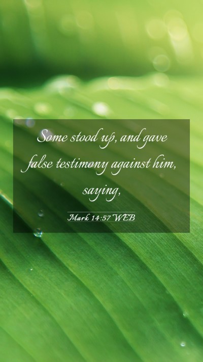 Picture 03 - Mark 14:57 WEB Mobile Phone Wallpaper - Some stood up, and gave false testimony against - Mobile Bible Verse Wallpaper