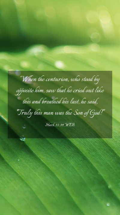 Picture 03 - Mark 15:39 WEB Mobile Phone Wallpaper - When the centurion, who stood by opposite him, - Mobile Bible Verse Wallpaper