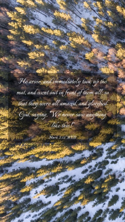 Picture 03 - Mark 2:12 WEB Mobile Phone Wallpaper - He arose, and immediately took up the mat, and - Mobile Bible Verse Wallpaper