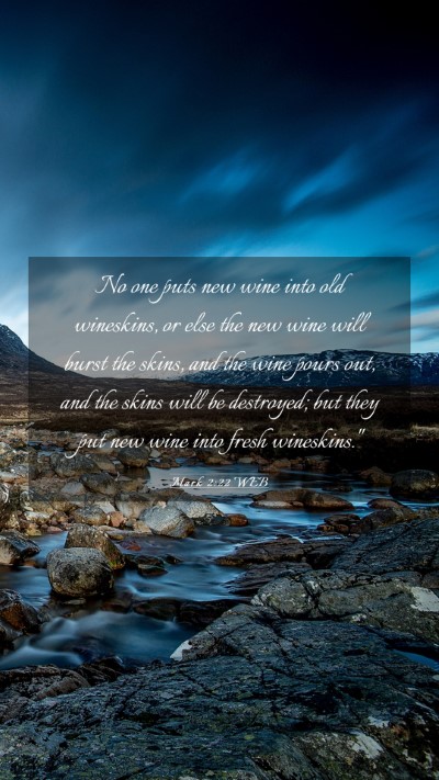 Picture 03 - Mark 2:22 WEB Mobile Phone Wallpaper - No one puts new wine into old wineskins, or else - Mobile Bible Verse Wallpaper