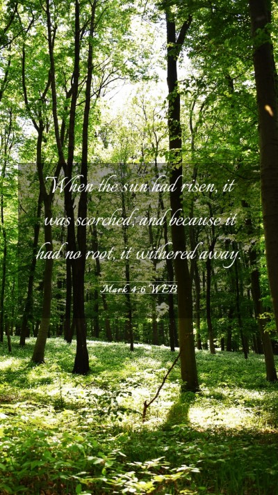 Picture 03 - Mark 4:6 WEB Mobile Phone Wallpaper - When the sun had risen, it was scorched; and - Mobile Bible Verse Wallpaper