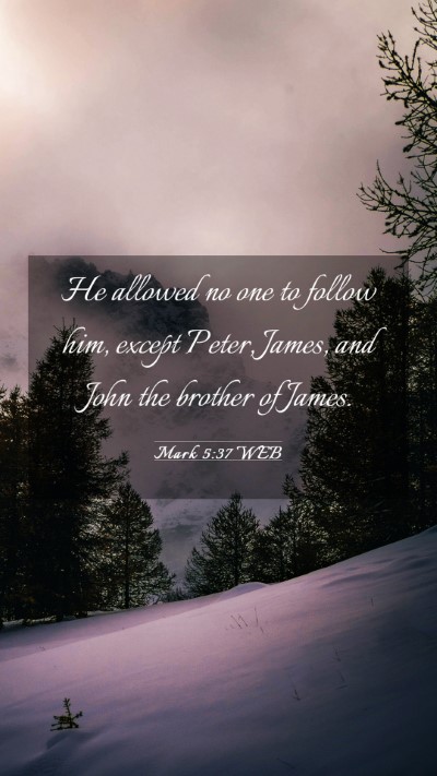 Picture 03 - Mark 5:37 WEB Mobile Phone Wallpaper - He allowed no one to follow him, except Peter, - Mobile Bible Verse Wallpaper