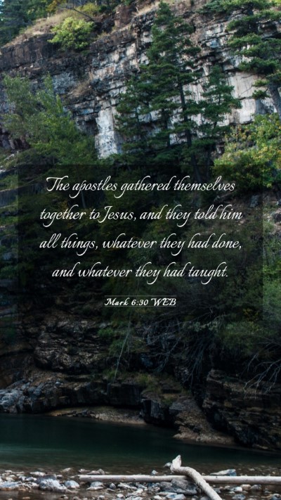 Picture 03 - Mark 6:30 WEB Mobile Phone Wallpaper - The apostles gathered themselves together to - Mobile Bible Verse Wallpaper