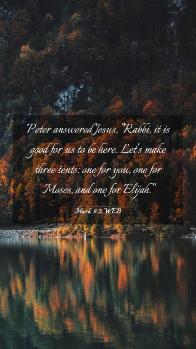 Picture 03 - Mark 9:5 WEB Mobile Phone Wallpaper - Peter answered Jesus, 