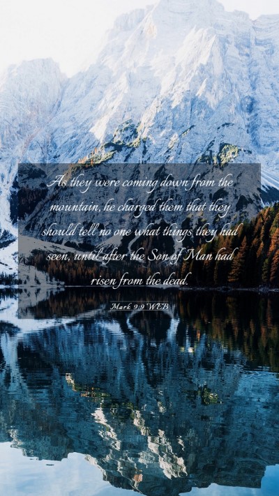 Picture 03 - Mark 9:9 WEB Mobile Phone Wallpaper - As they were coming down from the mountain, he - Mobile Bible Verse Wallpaper