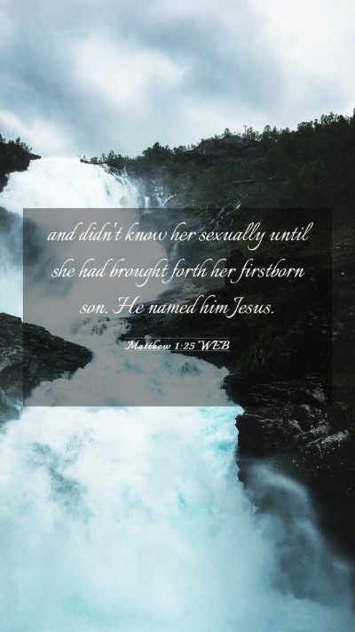 Picture 03 - Matthew 1:25 WEB Mobile Phone Wallpaper - and didn't know her sexually until she had - Mobile Bible Verse Wallpaper