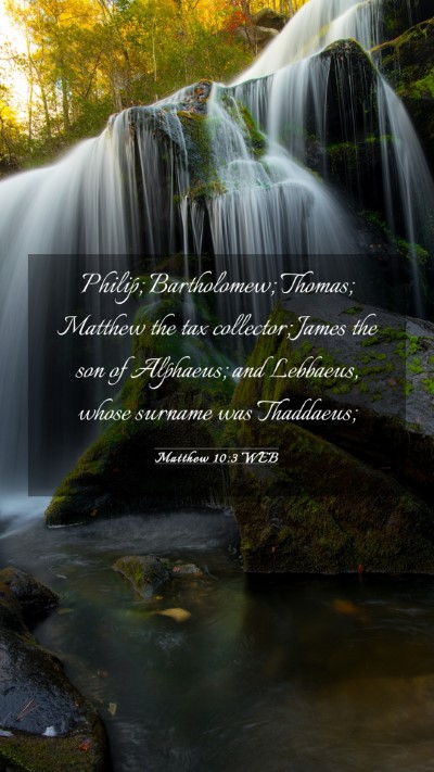 Picture 03 - Matthew 10:3 WEB Mobile Phone Wallpaper - Philip; Bartholomew; Thomas; Matthew the tax - Mobile Bible Verse Wallpaper