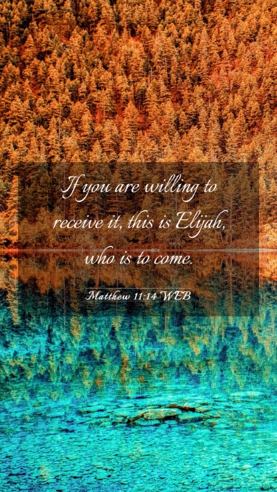 Picture 03 - Matthew 11:14 WEB Mobile Phone Wallpaper - If you are willing to receive it, this is Elijah, - Mobile Bible Verse Wallpaper