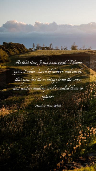 Picture 03 - Matthew 11:25 WEB Mobile Phone Wallpaper - At that time, Jesus answered, 