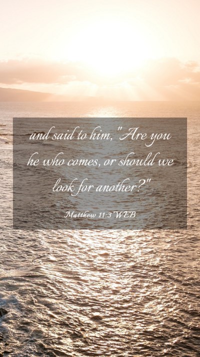 Picture 03 - Matthew 11:3 WEB Mobile Phone Wallpaper - and said to him, 