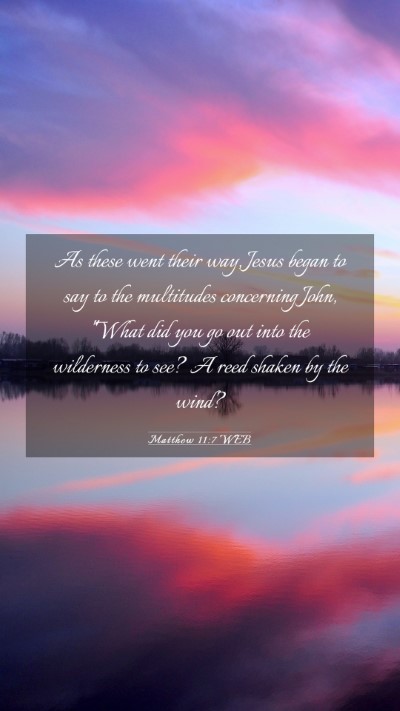Picture 03 - Matthew 11:7 WEB Mobile Phone Wallpaper - As these went their way, Jesus began to say to - Mobile Bible Verse Wallpaper