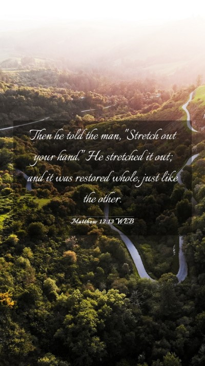 Picture 03 - Matthew 12:13 WEB Mobile Phone Wallpaper - Then he told the man, 