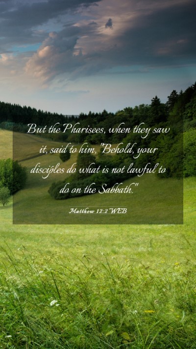 Picture 03 - Matthew 12:2 WEB Mobile Phone Wallpaper - But the Pharisees, when they saw it, said to him, - Mobile Bible Verse Wallpaper