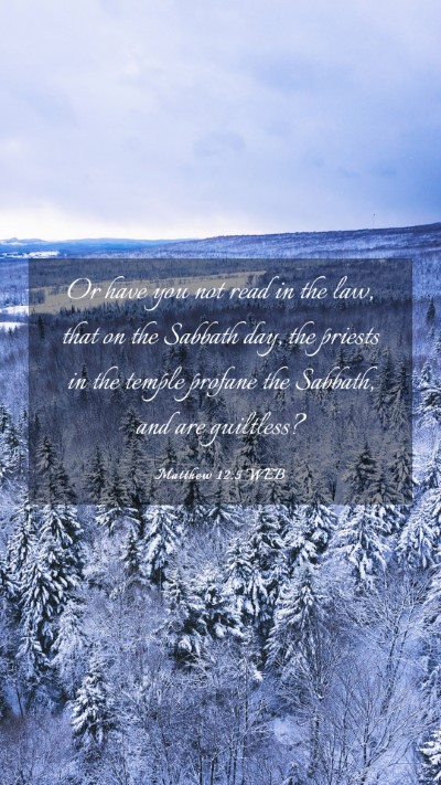 Picture 03 - Matthew 12:5 WEB Mobile Phone Wallpaper - Or have you not read in the law, that on the - Mobile Bible Verse Wallpaper