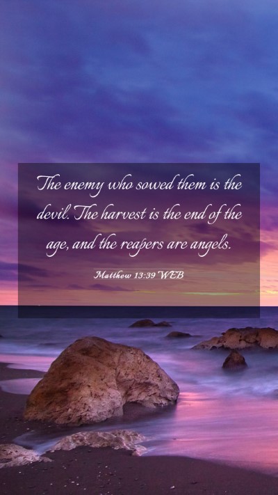 Picture 03 - Matthew 13:39 WEB Mobile Phone Wallpaper - The enemy who sowed them is the devil. The - Mobile Bible Verse Wallpaper