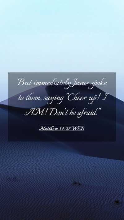 Picture 03 - Matthew 14:27 WEB Mobile Phone Wallpaper - But immediately Jesus spoke to them, saying - Mobile Bible Verse Wallpaper