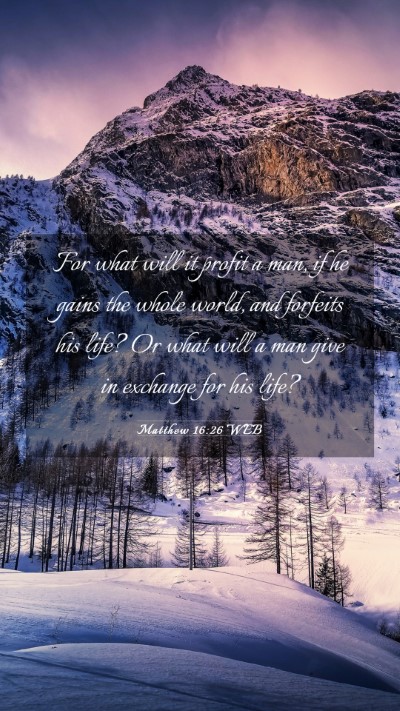 Picture 03 - Matthew 16:26 WEB Mobile Phone Wallpaper - For what will it profit a man, if he gains the - Mobile Bible Verse Wallpaper