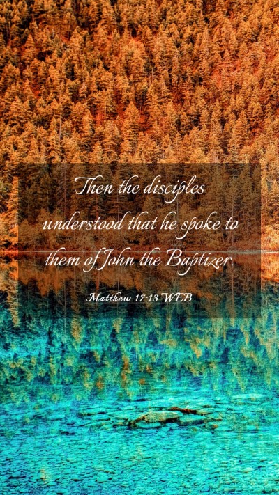 Picture 03 - Matthew 17:13 WEB Mobile Phone Wallpaper - Then the disciples understood that he spoke to - Mobile Bible Verse Wallpaper