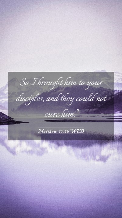 Picture 03 - Matthew 17:16 WEB Mobile Phone Wallpaper - So I brought him to your disciples, and they - Mobile Bible Verse Wallpaper