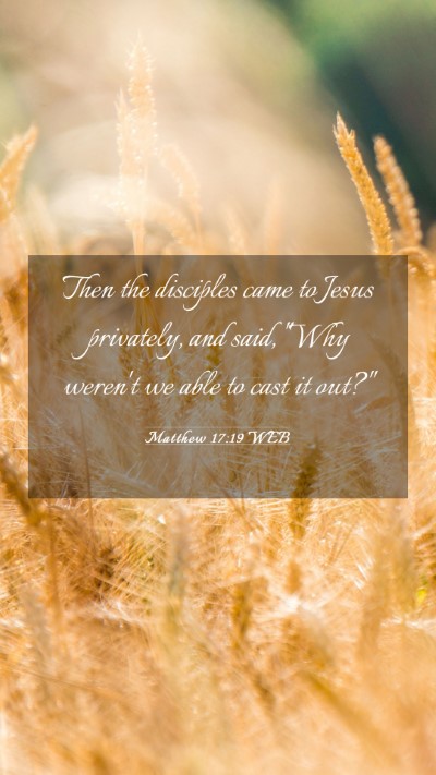 Picture 03 - Matthew 17:19 WEB Mobile Phone Wallpaper - Then the disciples came to Jesus privately, and - Mobile Bible Verse Wallpaper