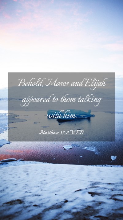 Picture 03 - Matthew 17:3 WEB Mobile Phone Wallpaper - Behold, Moses and Elijah appeared to them talking - Mobile Bible Verse Wallpaper