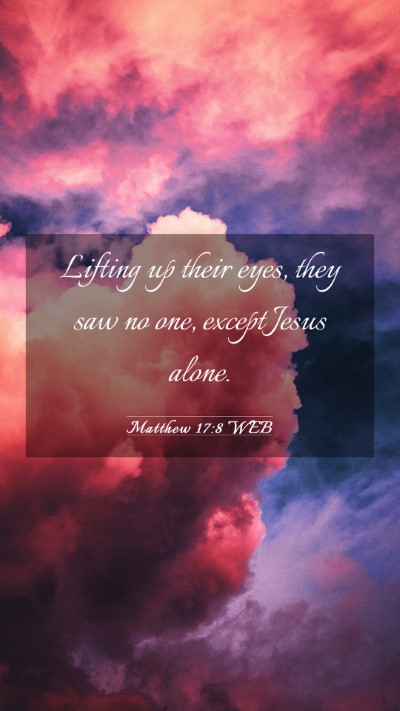 Picture 03 - Matthew 17:8 WEB Mobile Phone Wallpaper - Lifting up their eyes, they saw no one, except - Mobile Bible Verse Wallpaper