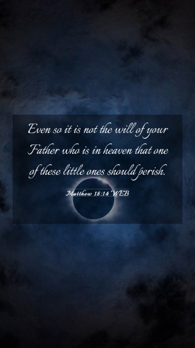 Picture 03 - Matthew 18:14 WEB Mobile Phone Wallpaper - Even so it is not the will of your Father who is - Mobile Bible Verse Wallpaper