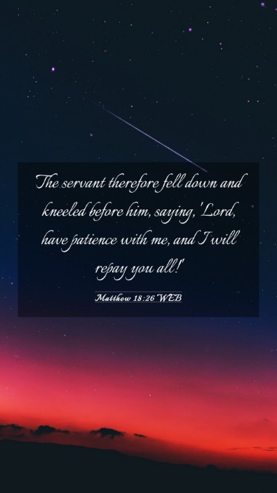 Picture 03 - Matthew 18:26 WEB Mobile Phone Wallpaper - The servant therefore fell down and kneeled - Mobile Bible Verse Wallpaper