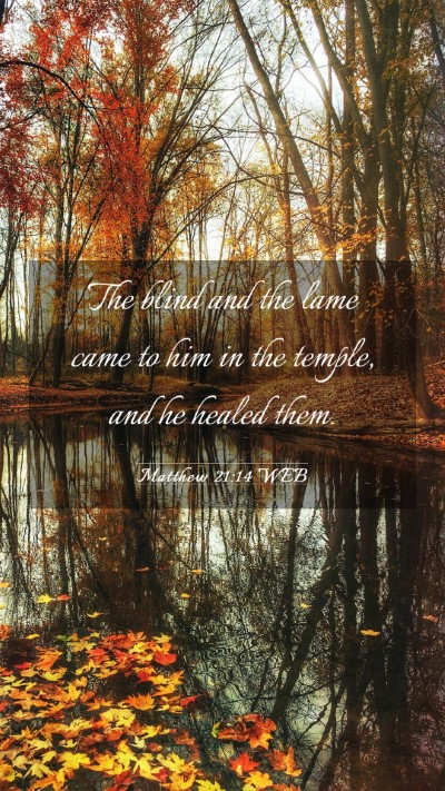 Picture 03 - Matthew 21:14 WEB Mobile Phone Wallpaper - The blind and the lame came to him in the temple, - Mobile Bible Verse Wallpaper