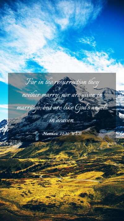 Picture 03 - Matthew 22:30 WEB Mobile Phone Wallpaper - For in the resurrection they neither marry, nor - Mobile Bible Verse Wallpaper