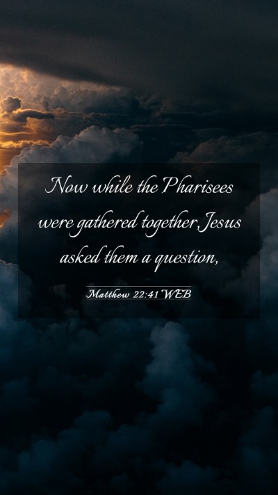 Picture 03 - Matthew 22:41 WEB Mobile Phone Wallpaper - Now while the Pharisees were gathered together, - Mobile Bible Verse Wallpaper