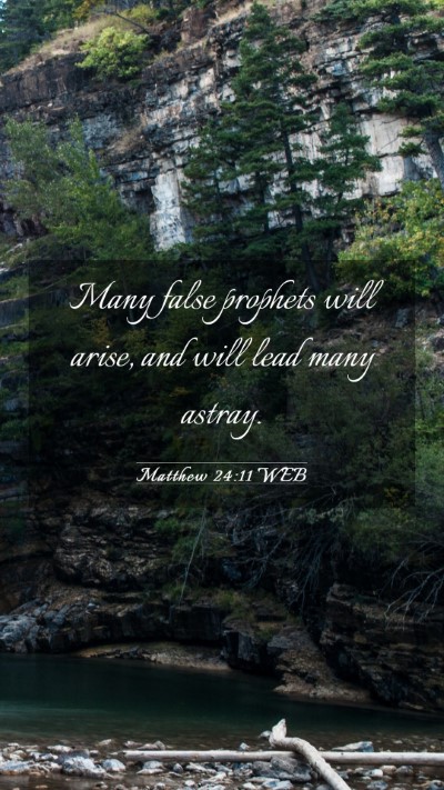 Picture 03 - Matthew 24:11 WEB Mobile Phone Wallpaper - Many false prophets will arise, and will lead - Mobile Bible Verse Wallpaper