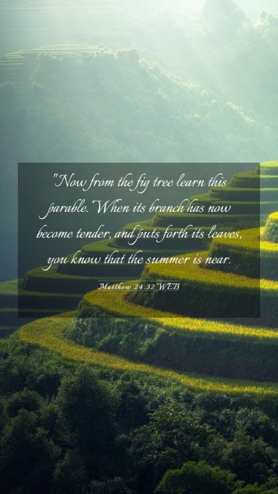 Picture 03 - Matthew 24:32 WEB Mobile Phone Wallpaper - 