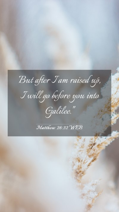 Picture 03 - Matthew 26:32 WEB Mobile Phone Wallpaper - But after I am raised up, I will go before you - Mobile Bible Verse Wallpaper