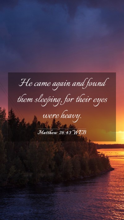 Picture 03 - Matthew 26:43 WEB Mobile Phone Wallpaper - He came again and found them sleeping, for their - Mobile Bible Verse Wallpaper