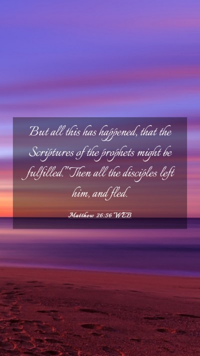 Picture 03 - Matthew 26:56 WEB Mobile Phone Wallpaper - But all this has happened, that the Scriptures of - Mobile Bible Verse Wallpaper
