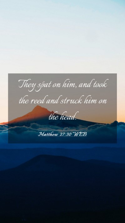 Picture 03 - Matthew 27:30 WEB Mobile Phone Wallpaper - They spat on him, and took the reed and struck - Mobile Bible Verse Wallpaper