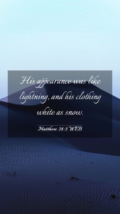 Picture 03 - Matthew 28:3 WEB Mobile Phone Wallpaper - His appearance was like lightning, and his - Mobile Bible Verse Wallpaper