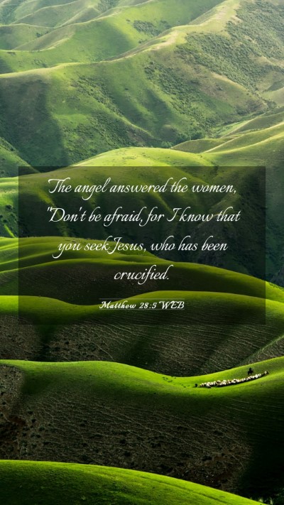 Picture 03 - Matthew 28:5 WEB Mobile Phone Wallpaper - The angel answered the women, 