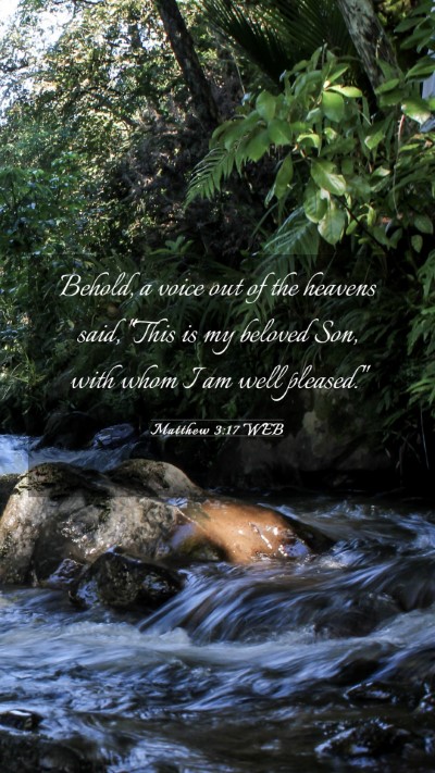 Picture 03 - Matthew 3:17 WEB Mobile Phone Wallpaper - Behold, a voice out of the heavens said, 
